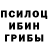 Галлюциногенные грибы прущие грибы artur wachowski