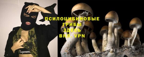 метадон Арсеньев