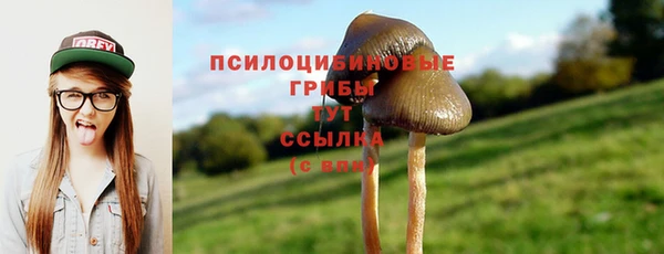 скорость Аркадак