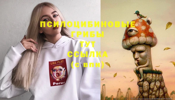 метадон Арсеньев