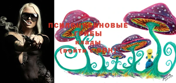 метадон Арсеньев